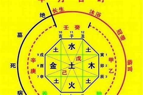 八字喜水木|八字喜水木是什么意思 (五行缺什么不能只看八字中缺什么)